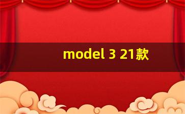 model 3 21款